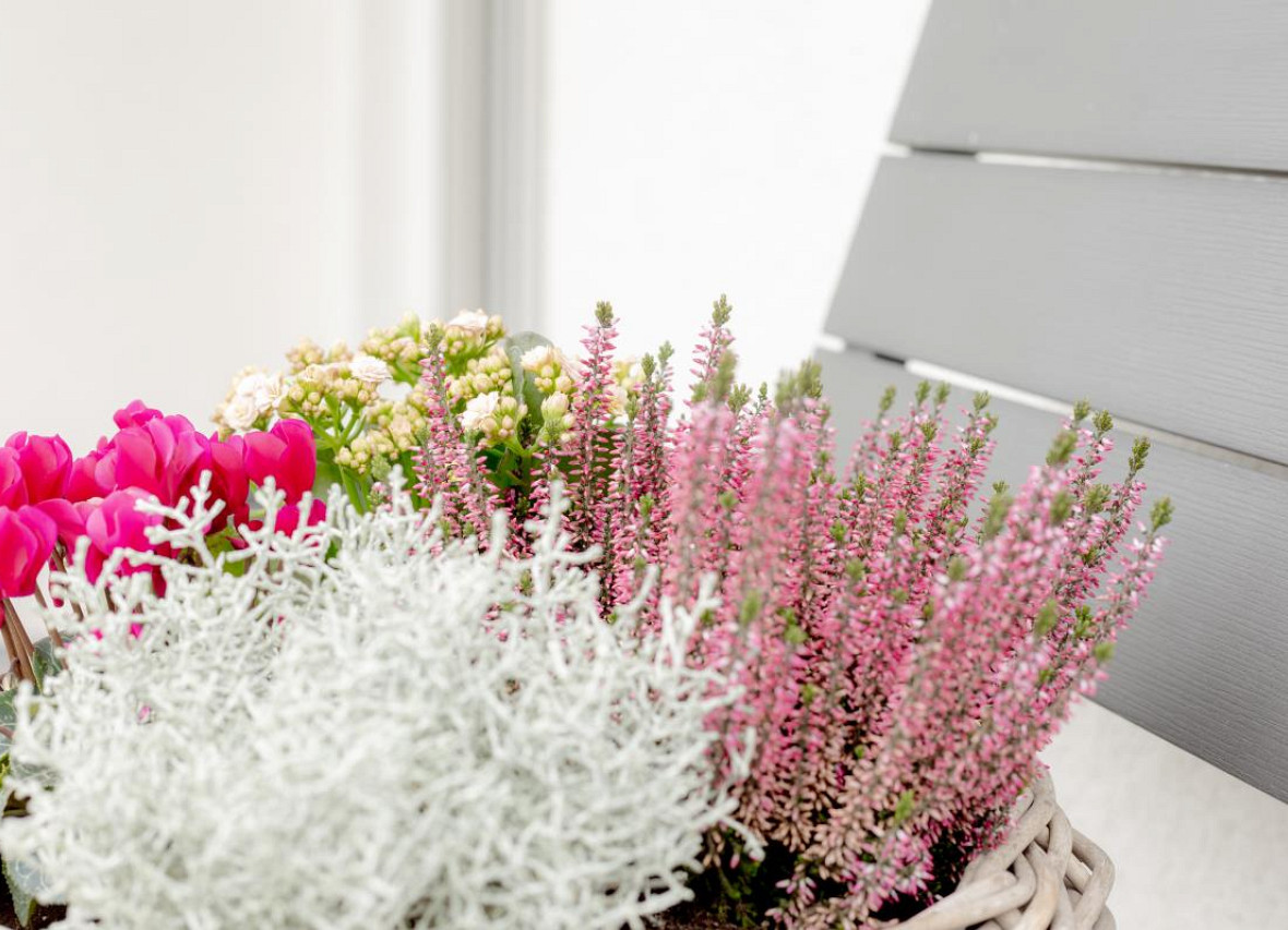 Blumendekoration am Eingang von Dock 61