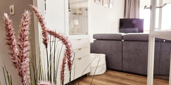 Inselloft 60
