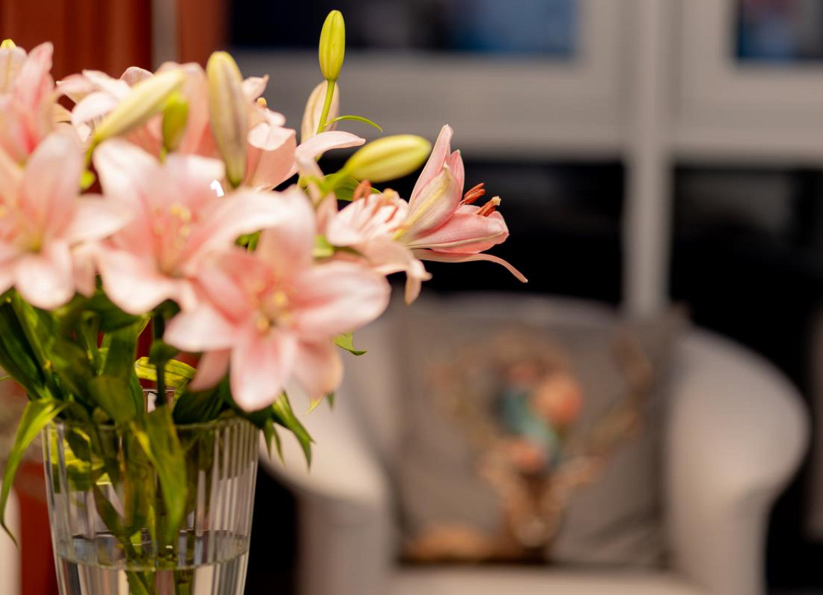 Liesel´s Loft - City Appartement