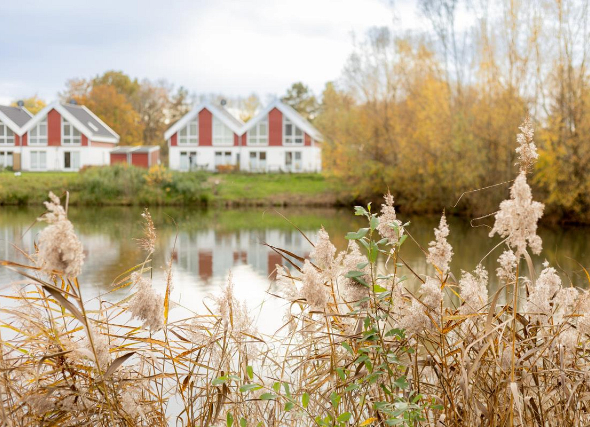 Idyllischer Blick auf den See und die umliegenden Ferienhäuser