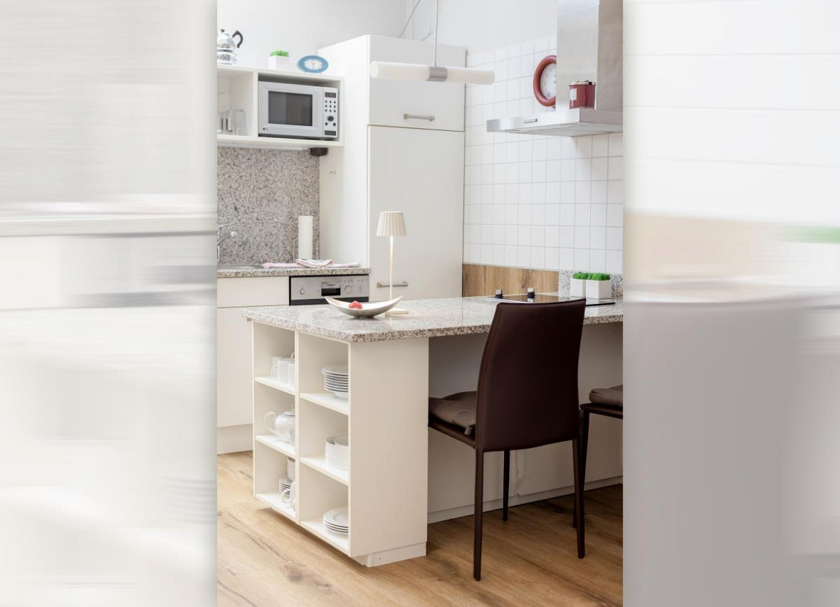 Die moderne Küche mit Mikrowelle, Spülmaschine und Kochgelegenheit