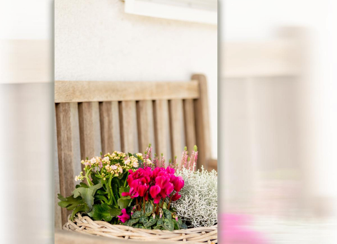 Herzliches Willkommen auf der Veranda vor Dock 2